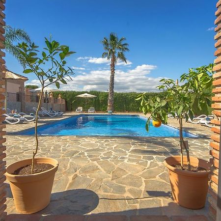Villa Conmigo Bed & Breakfast Alhaurín de la Torre Eksteriør billede